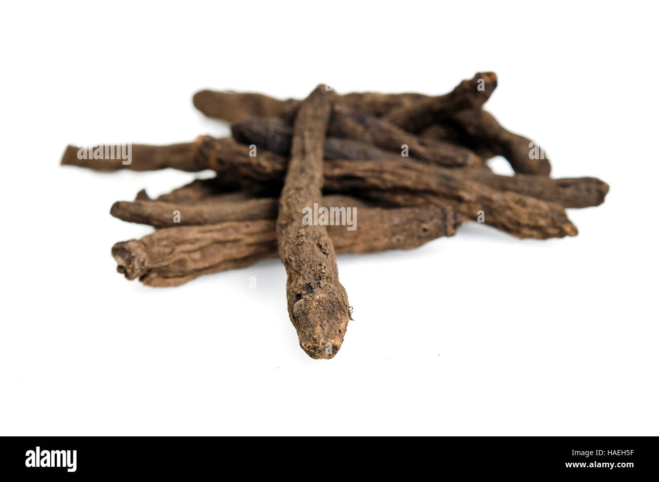 Star in erba (anche denominato Hypoxis aurea Lour., Hypoxidaceae root, Ya dok Kham o Tan diao in Thai, star lily, stelle gialle, stella di erba, patata africana Foto Stock