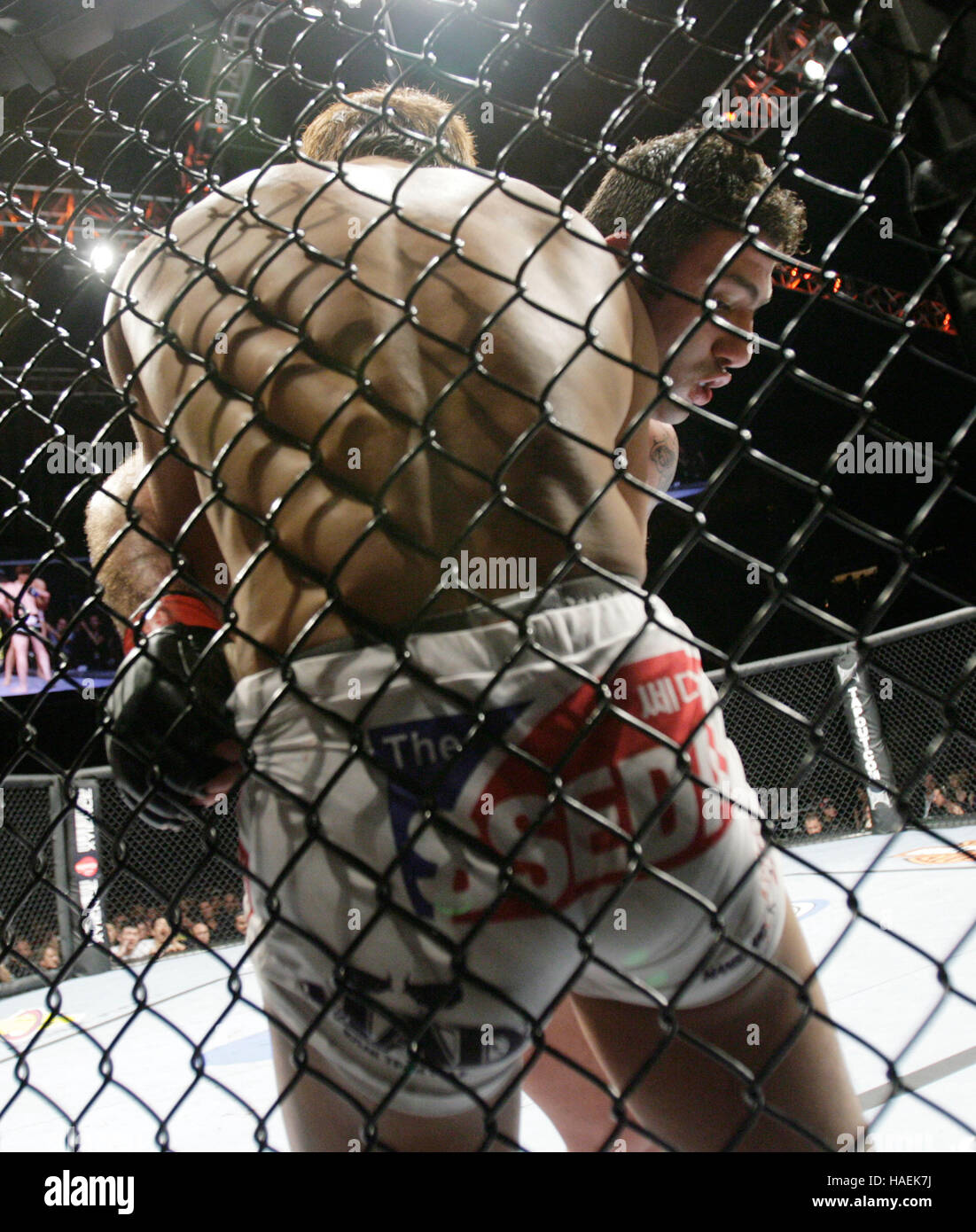 Dong Hyun Kim, sinistra e Karo Parisyan lotta all'UFC 94 a MGM Grand Arena, il 31 gennaio 2009 a Las Vegas, NV. Francesco Specker Foto Stock