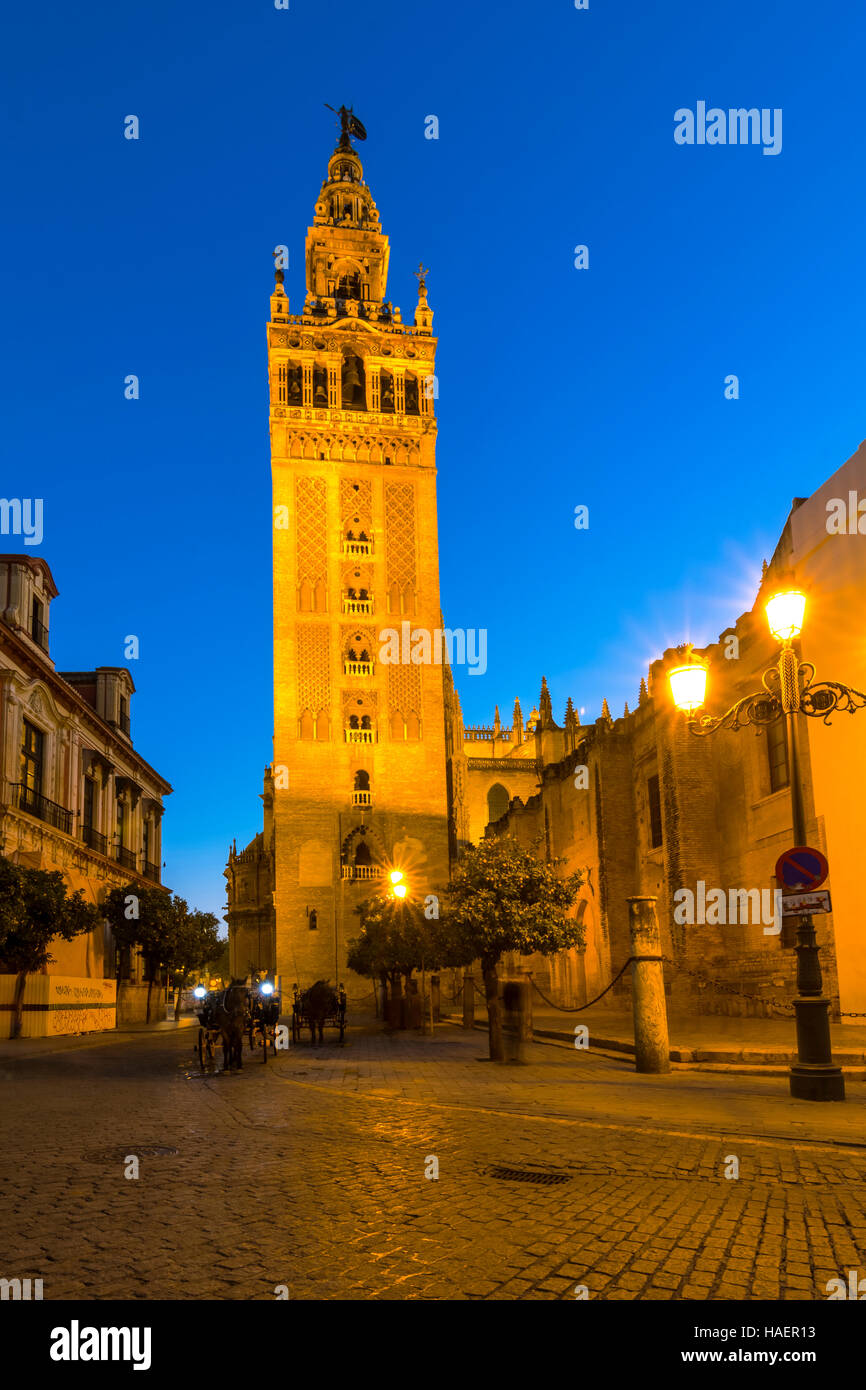 Torre Giralda,Siviglia, in Andalusia, Spagna Foto Stock
