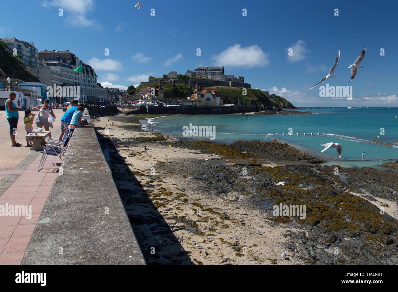 Illustrazione del Cotentin, (50) MANCHE, BASSE-NORMANDIE Foto Stock