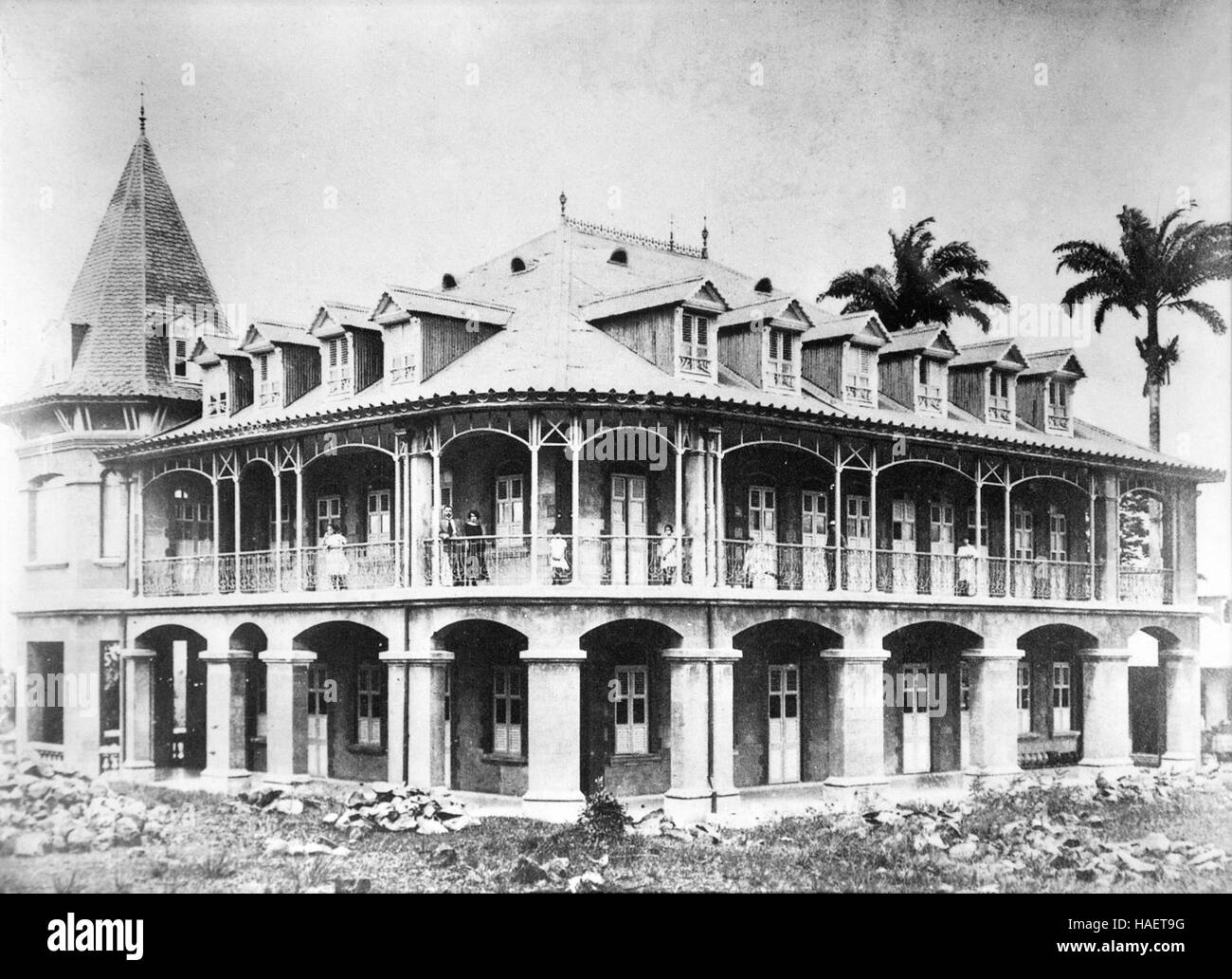 Il rum e la canna da zucchero AGRICOLTURA IN MARTINICA, ANTILLE FRANCESI, Francia Foto Stock