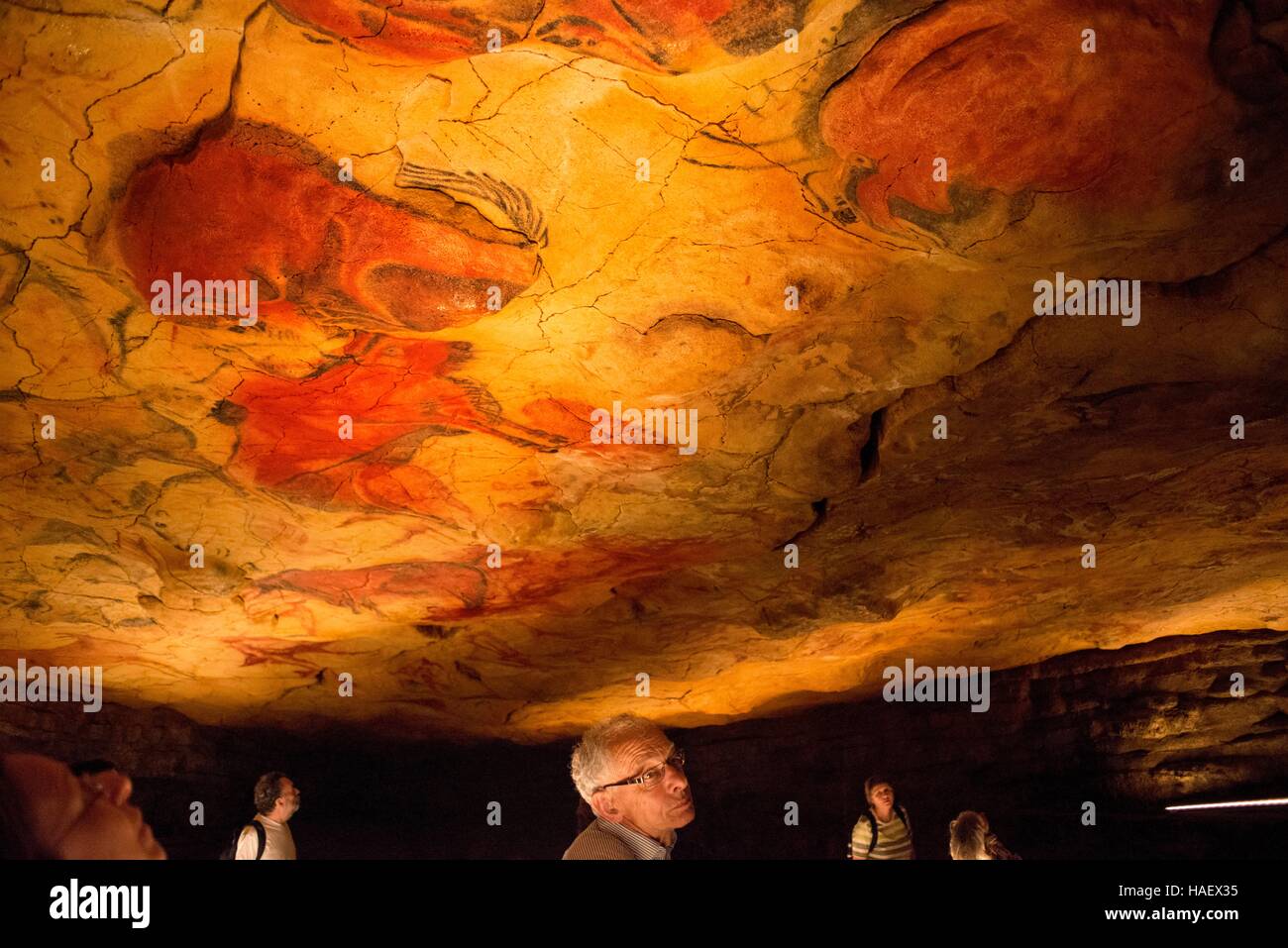 Bison pittura in grotte di Altamira, Superiore Museo Paleolitico, Santander, Cantabria, Spagna. Una delle fermate del Transcantabrico Gran Lujo trai di lusso Foto Stock