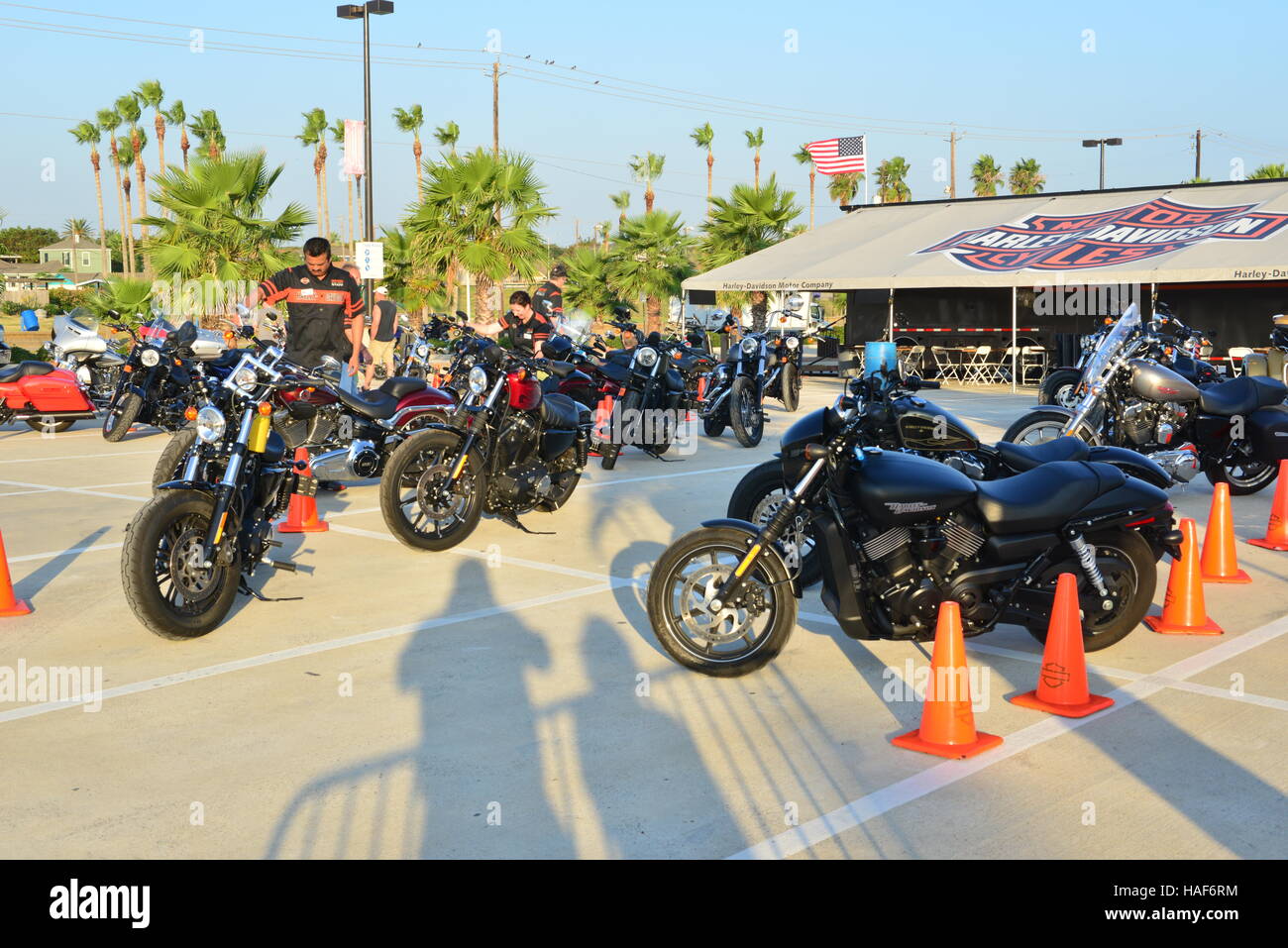 Harley Davidson show a Galveston in Texas Foto Stock