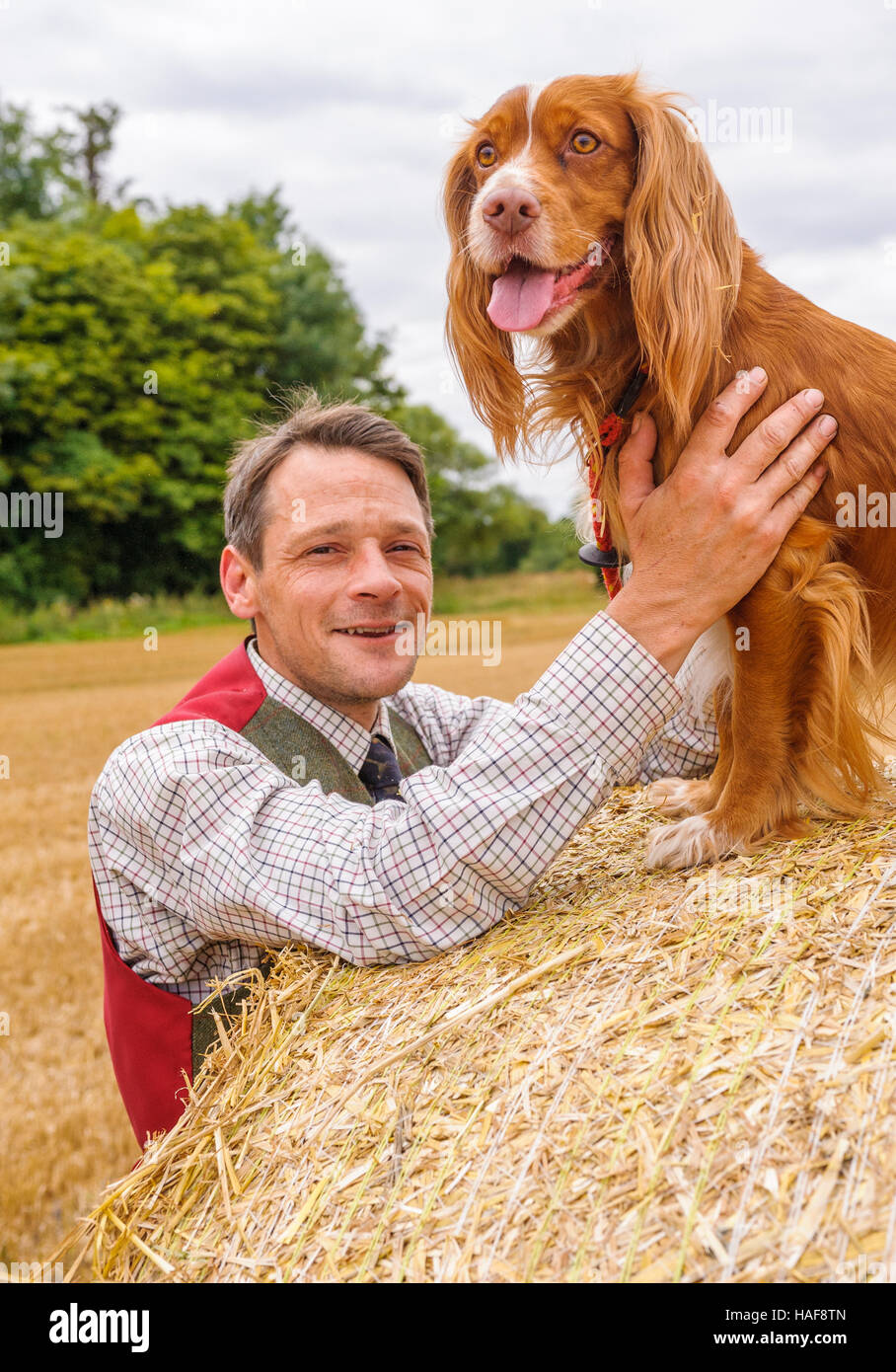 Un uomo con un cocker spaniel sat su balle di paglia su una giornata d'estate Foto Stock