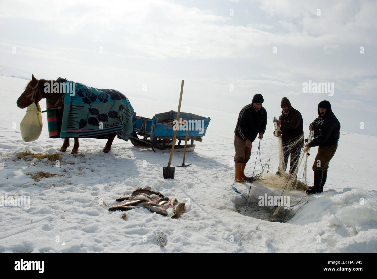 Inverno sulla pesca congelati cildir lago nella provincia di Ardahan. Foto Stock