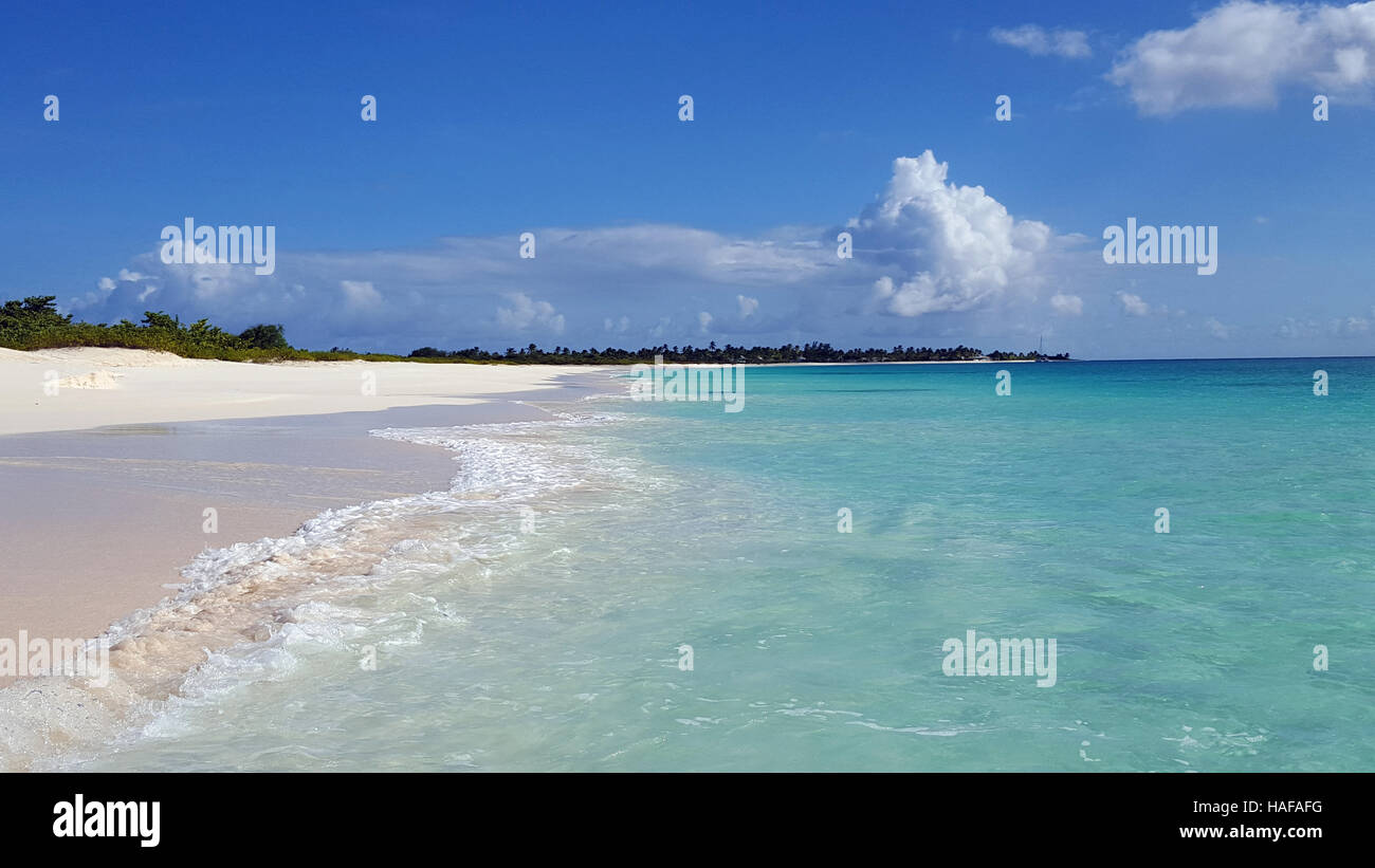 Sabbia Rosa Beach Antigua e Barbuda Foto Stock