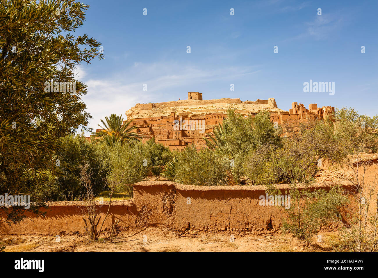 Vista di oasi sotto il Ksar Ait Ben Haddou in Marocco Foto Stock