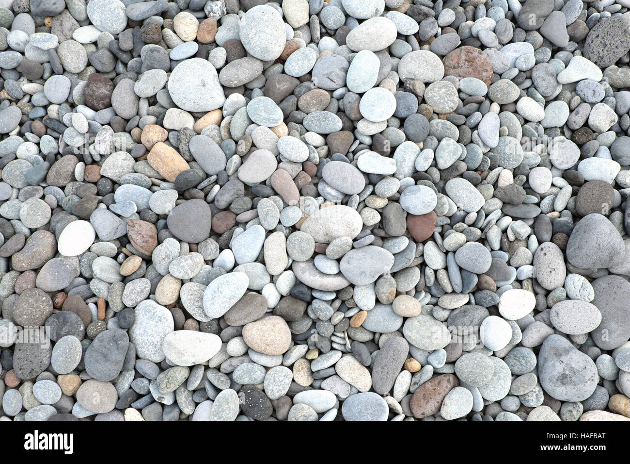Pebble pavimento in pietra, ciottoli sfondo Foto Stock
