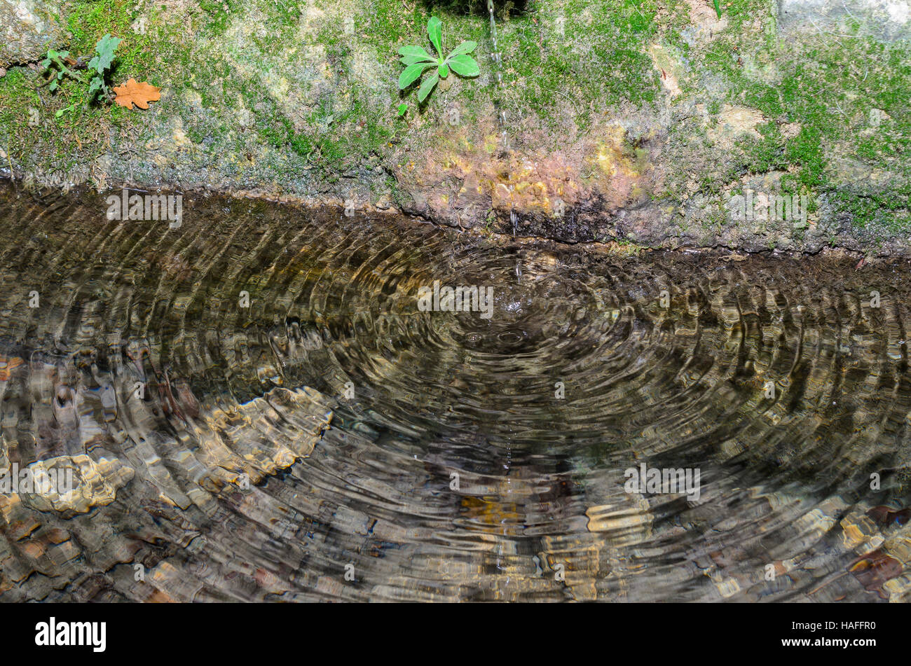 FORET DE STE BAUME, SOURCE DE ST ZACHARIE, VAR 83 FRANCIA Foto Stock