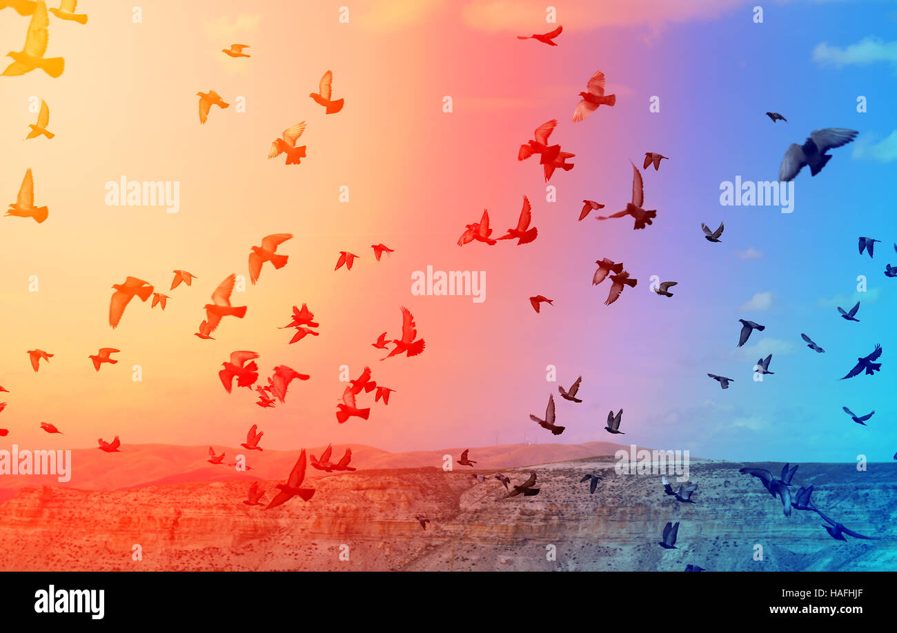Foto gregge di piccioni volare sopra le montagne inusuale in Turchia Foto Stock