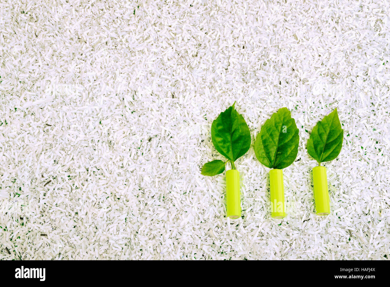 Tre piccoli impianti realizzati in verde le batterie di alimentazione e le foglie fresche su bianco grattugiato heap della carta Foto Stock