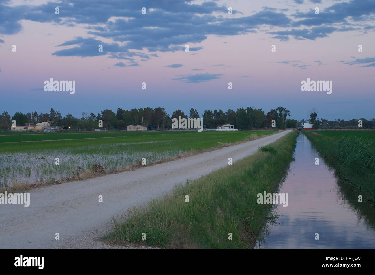 Paesaggi del Delta del Ebro, Spagna al tramonto Foto Stock