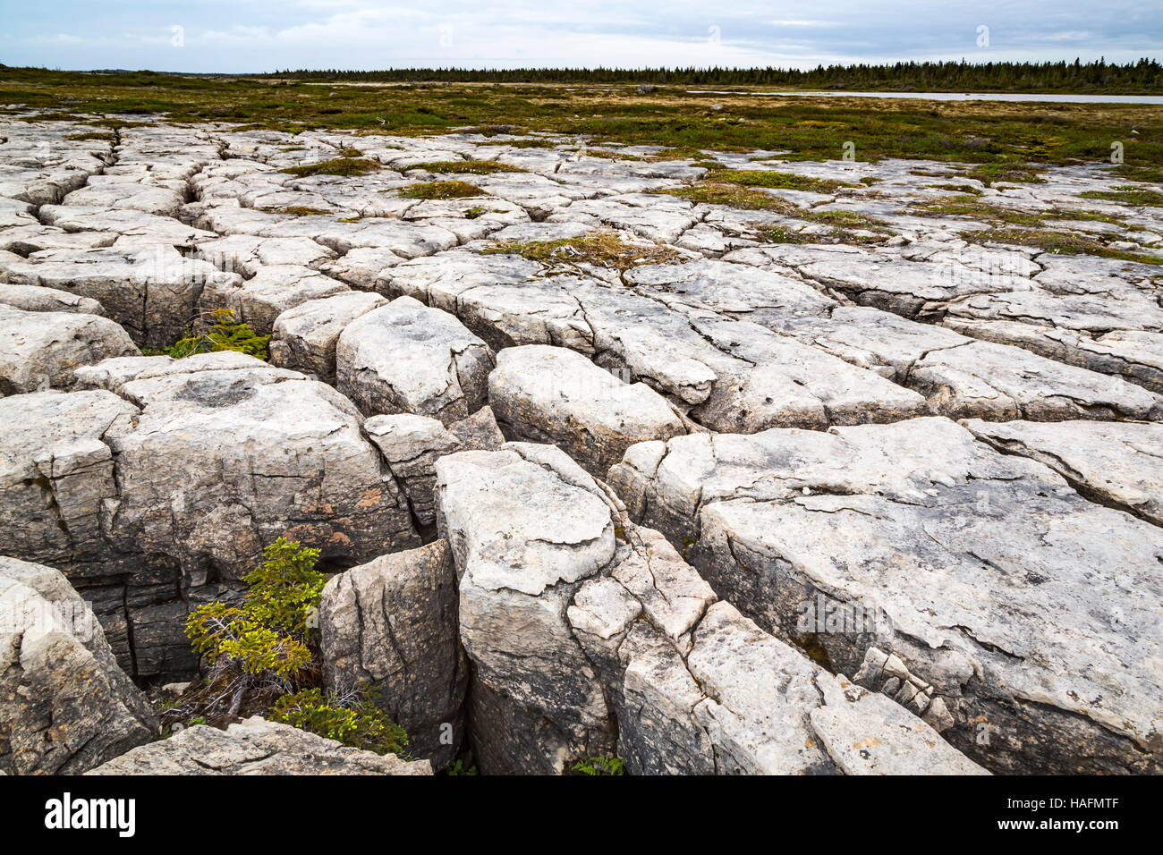 Grandi rocce bianche su rocce bianche sentiero a piedi vicino a fiore Cove, Terranova e Labrador, Canada. Foto Stock