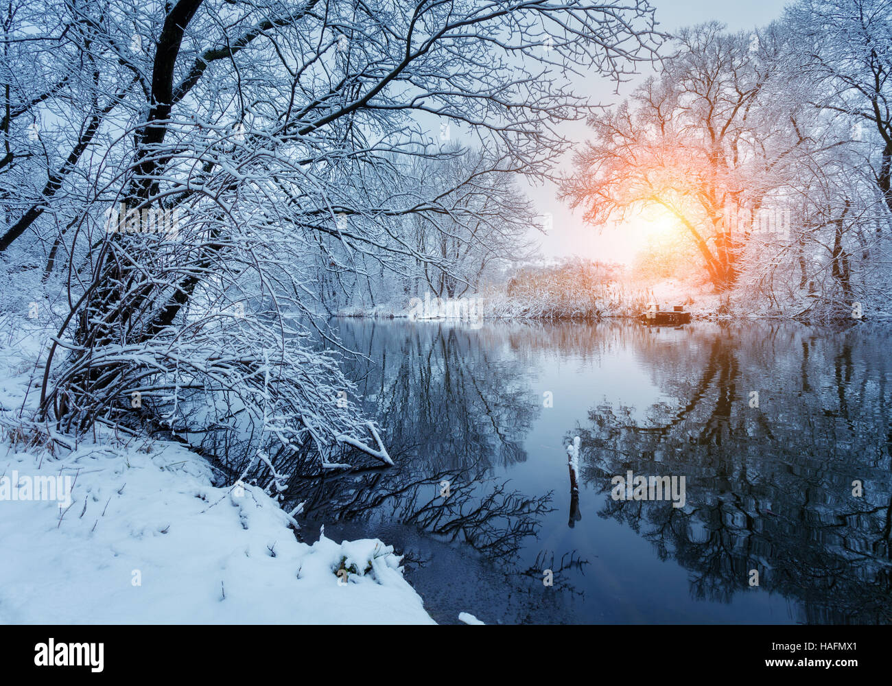 Bella inverno nella foresta sul fiume al tramonto. Paesaggio invernale. Snowy rami di alberi, splendido fiume con la riflessione in acqua, sole e blue s Foto Stock