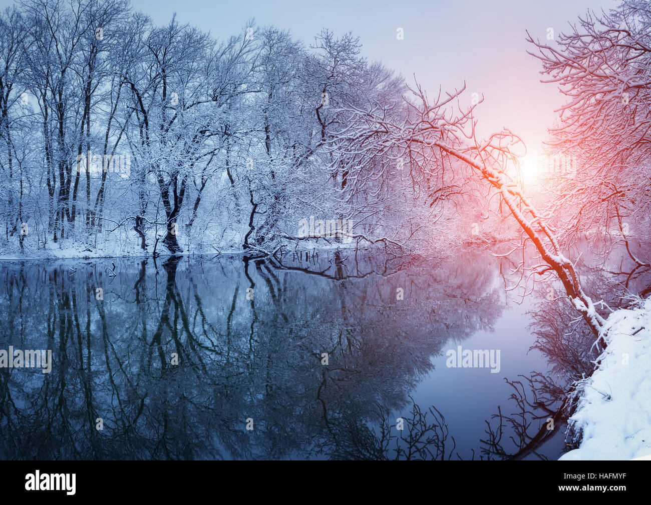 Bella inverno nella foresta sul fiume al tramonto. Paesaggio invernale. Snowy rami di alberi, splendido fiume Foto Stock