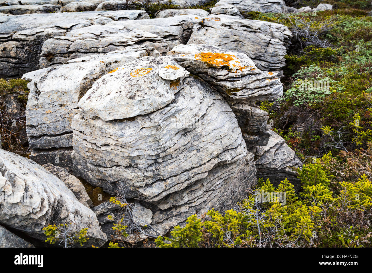 Grandi rocce bianche su rocce bianche sentiero a piedi vicino a fiore Cove, Terranova e Labrador, Canada. Foto Stock