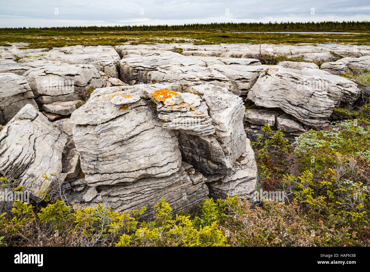 Grandi rocce bianche su rocce bianche sentiero a piedi vicino a fiore Cove, Terranova e Labrador, Canada. Foto Stock
