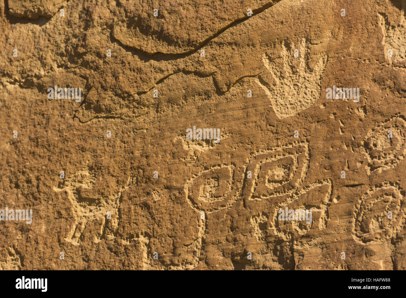 Colorado, Mesa Verde National Park, punto Petroglyph Trail, incisioni rupestri Foto Stock