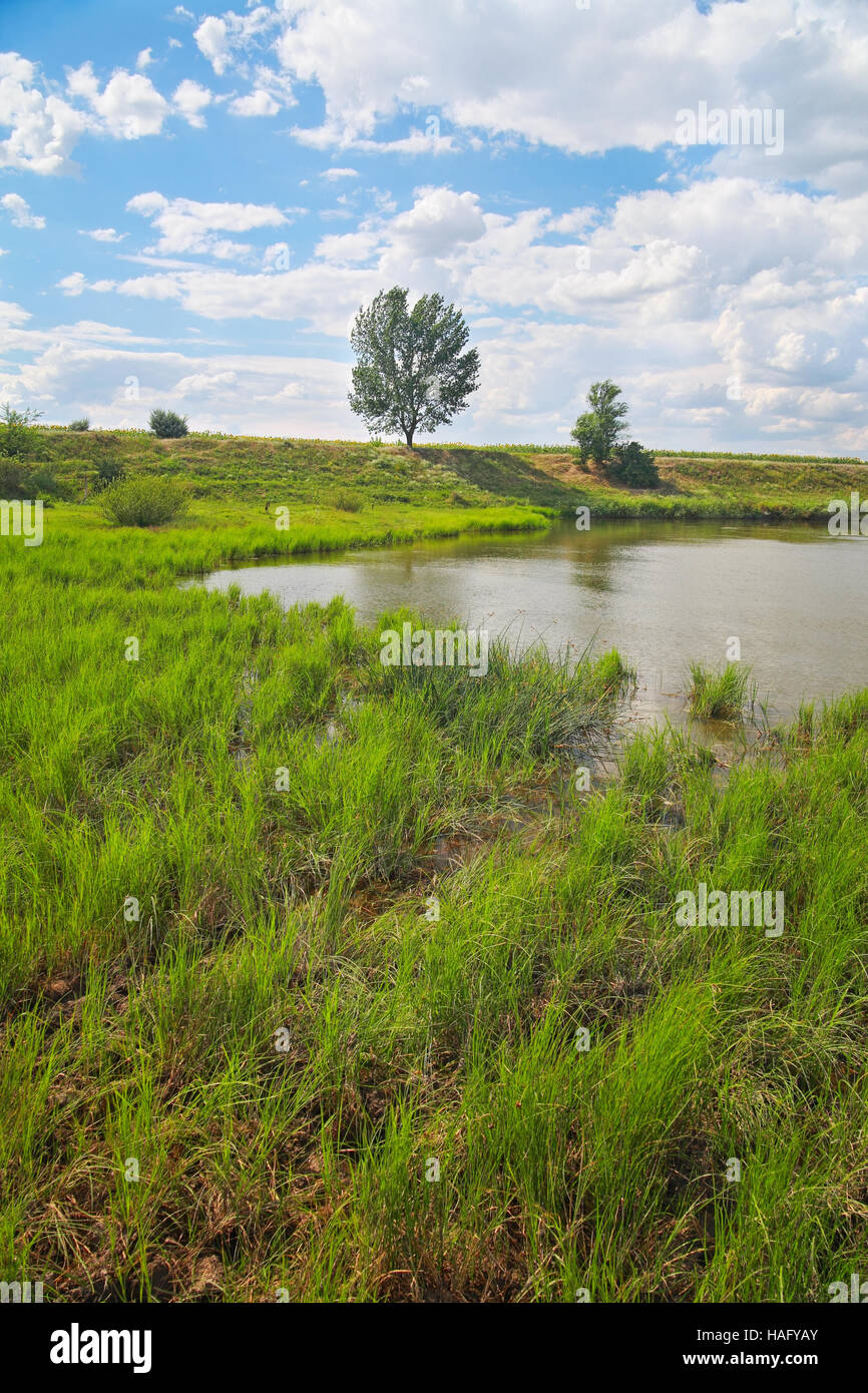 Paesaggio rurale, river coast contro il cielo con le nuvole Foto Stock