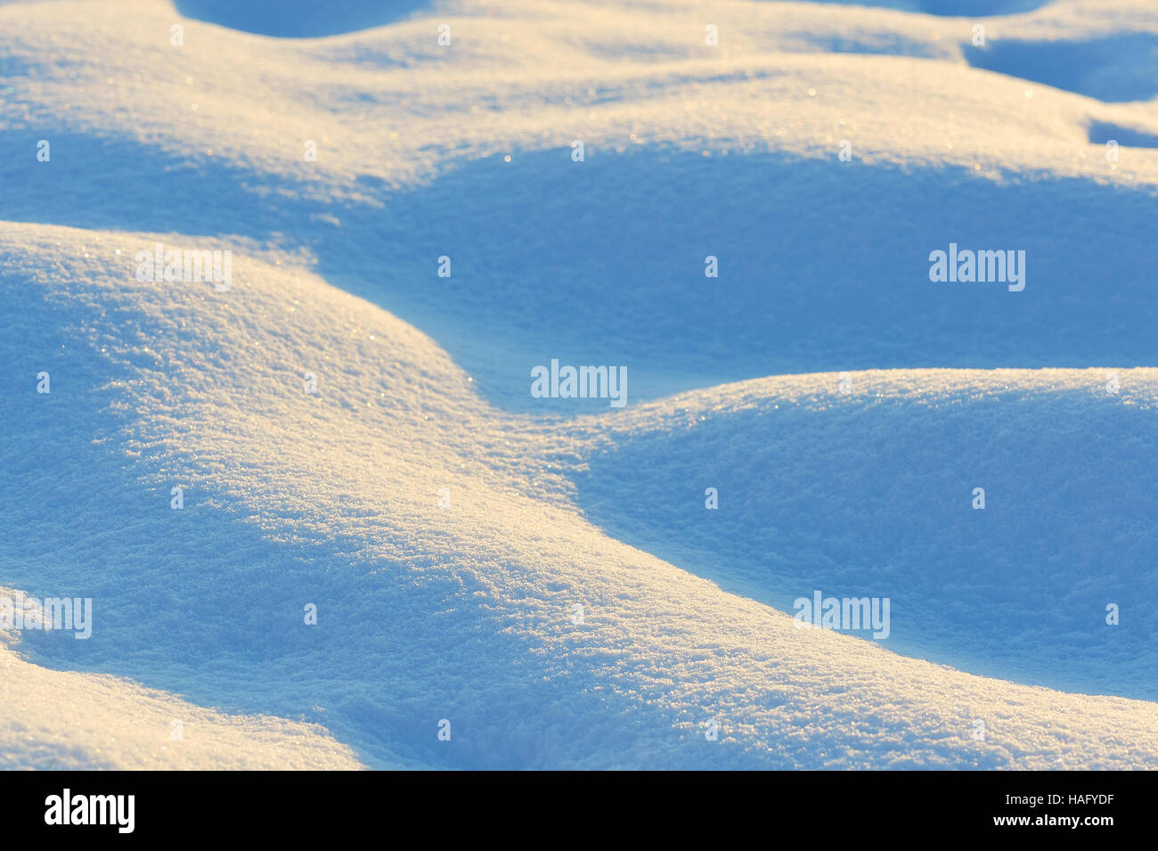 Ondulata neve fresca con tonalità di blu e sunrise Foto Stock