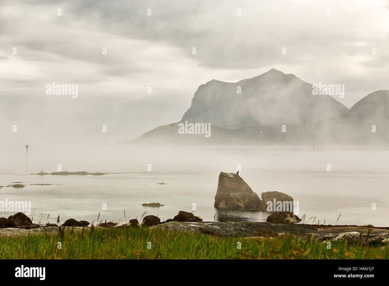 Estate nuvoloso isole Lofoten. Norvegia misty mare e fiordi. Nordic pioggia. Foto Stock