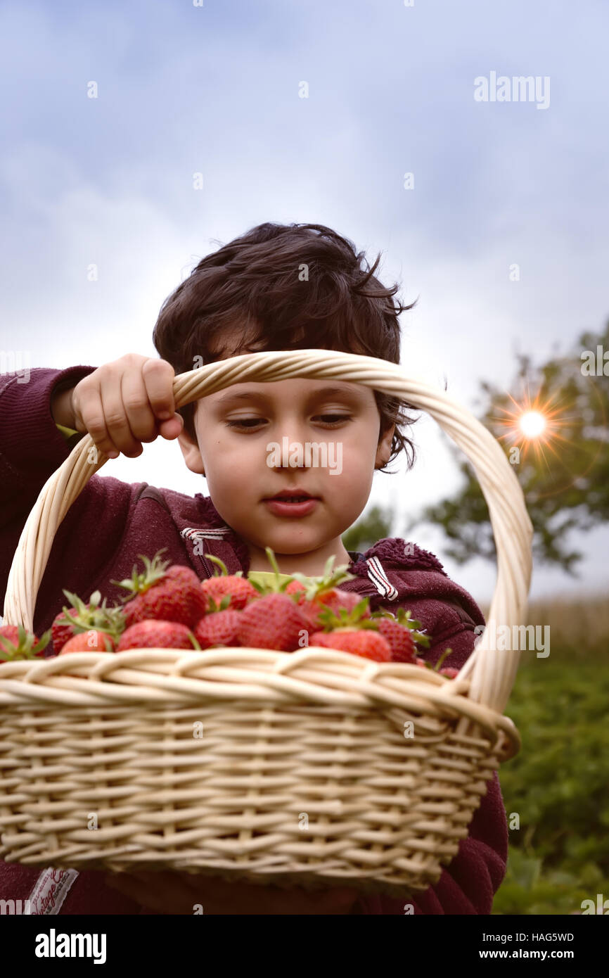 Little Boy divertirsi su Strawberry Farm. Carino bambino mangiare sano cibo organico, frutti di bosco freschi. Foto Stock