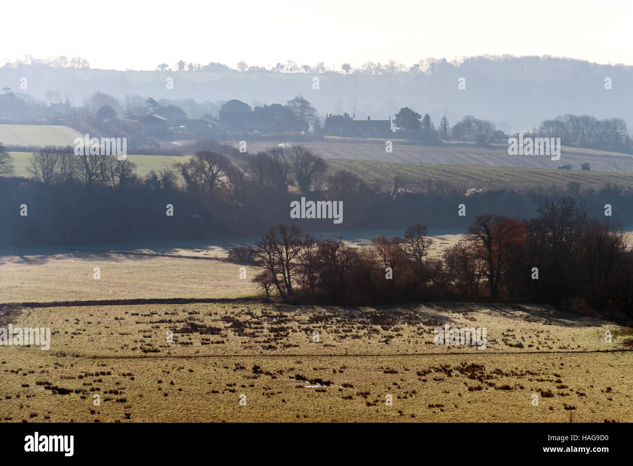 Arundel, West Sussex, Regno Unito. 30 Novembre, 2016. Un gelido mattina sulla Arun Valley, vicino a Arundel in West Sussex. Credito: Andrew Hasson/Alamy Live News Foto Stock