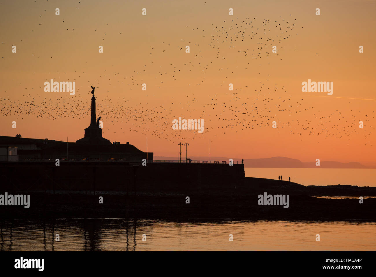 Aberystwyth, Wales, Regno Unito. 30 Novembre, 2016. Stormi di storni swiring sul mare di Aberystwyth mentre stagliano figure sulle rocce e il lungomare lok. Le colline del sud Ceredigion in background. Credito: Alan Hale/Alamy Live News Foto Stock