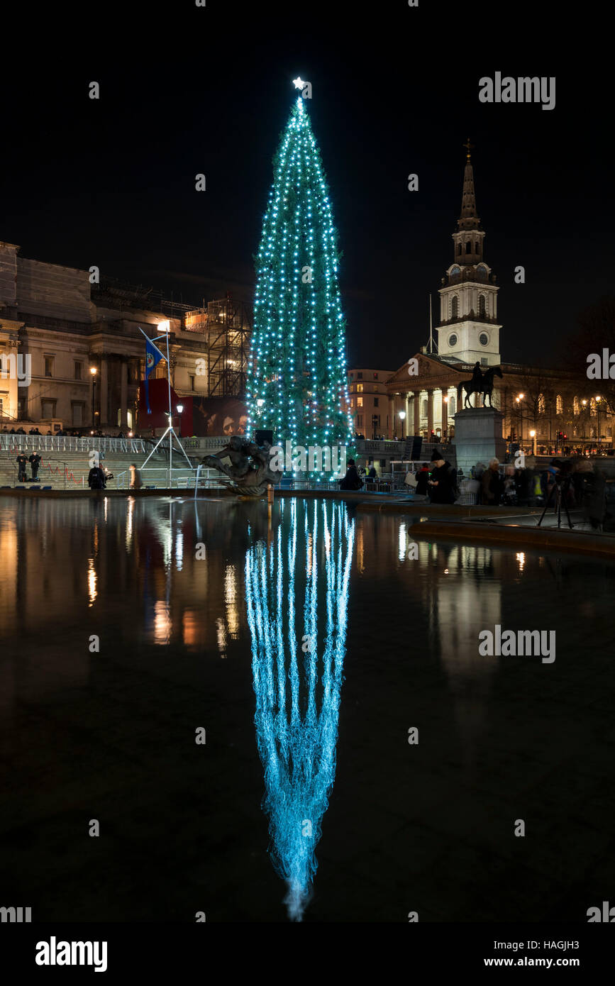 Londra, Regno Unito. 1 dicembre 2016. Una 22-metro di altezza abete norvegese, decorate in un tradizionale stile Norvegese con stringhe verticale delle luci (intorno 770 lampadine a risparmio energetico) è illuminata in Trafalgar Square. La struttura ad albero è la città di Oslo tradizionale di un regalo di Natale a Londra in segno di ringraziamento per il supporto britannico durante la Seconda Guerra Mondiale. Il sindaco di Westminster, consigliere Steve Summers ha ospitato il sindaco di Oslo, Marianne Borgen che ha eseguito l'illuminazione ufficiale. Credito: Stephen Chung / Alamy Live News Foto Stock