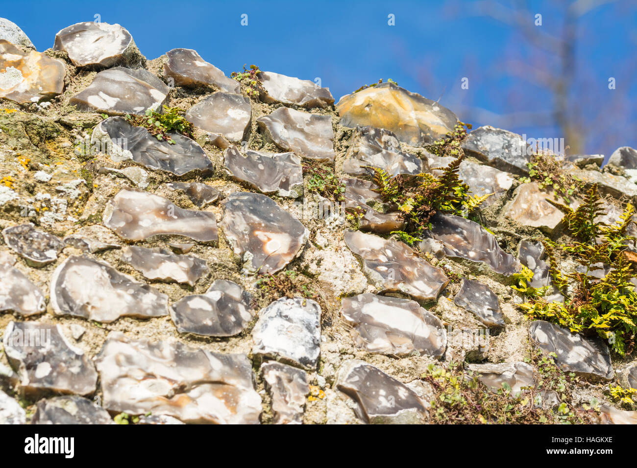 Muro di pietra focaia sulle antiche rovine di un edificio medievale. Foto Stock