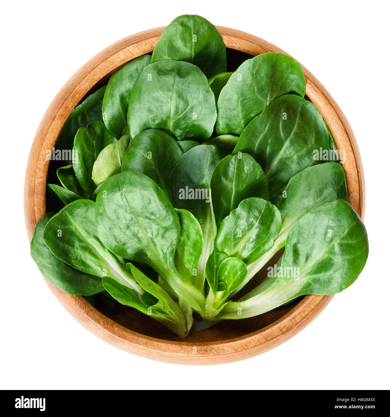 Insalata verde nella ciotola con il server per insalata Foto stock - Alamy