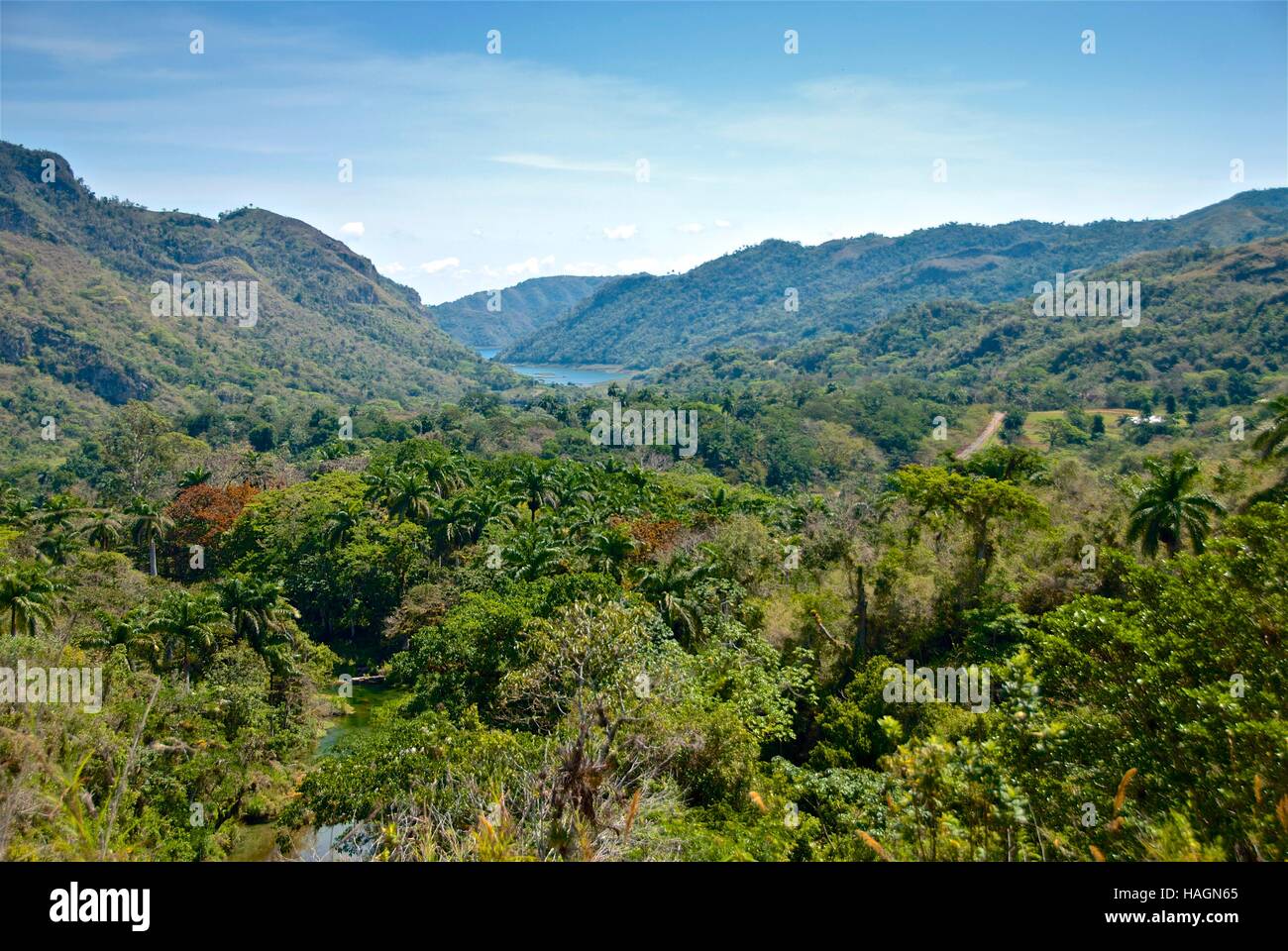 Guardando fuori dal El Nicho area della Sierra del Escambray, Cuba. I sentieri conducono attraverso il Parque Natural Topes de Collantes. Foto Stock