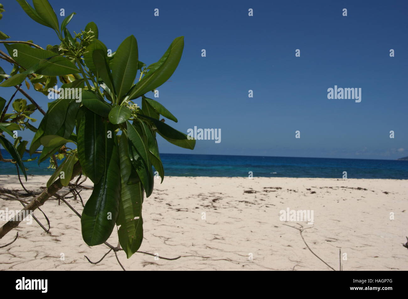 Spiaggia deserta in oceano. Isola di Cousin, Seychelles, Oceano Indiano Foto Stock