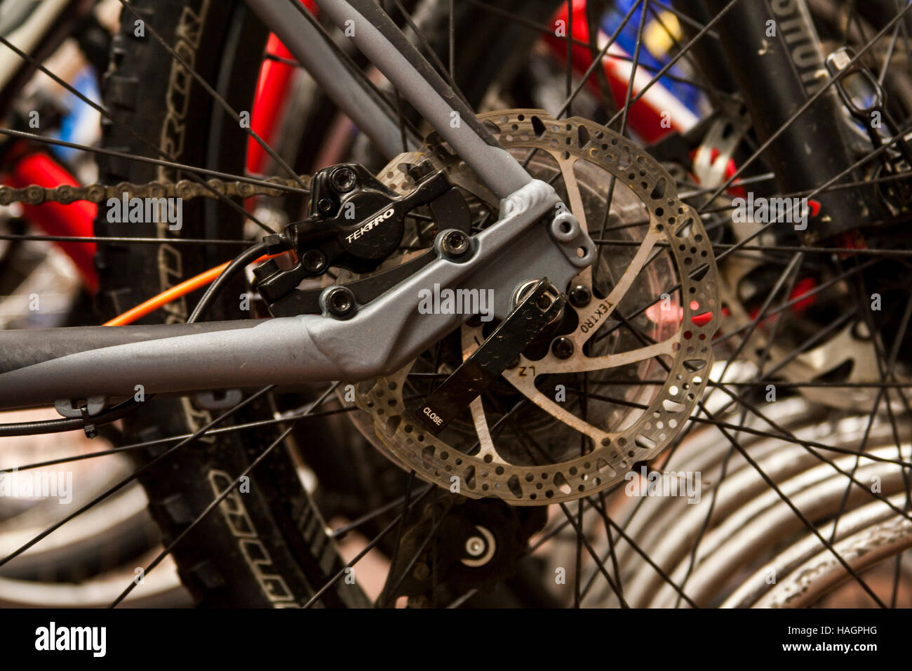 Bike Shop fantasy, andare in giro su semplici dettagli e godendo la grazia di questo meraviglioso sport. Amore e biciclette lungo andare. Foto Stock