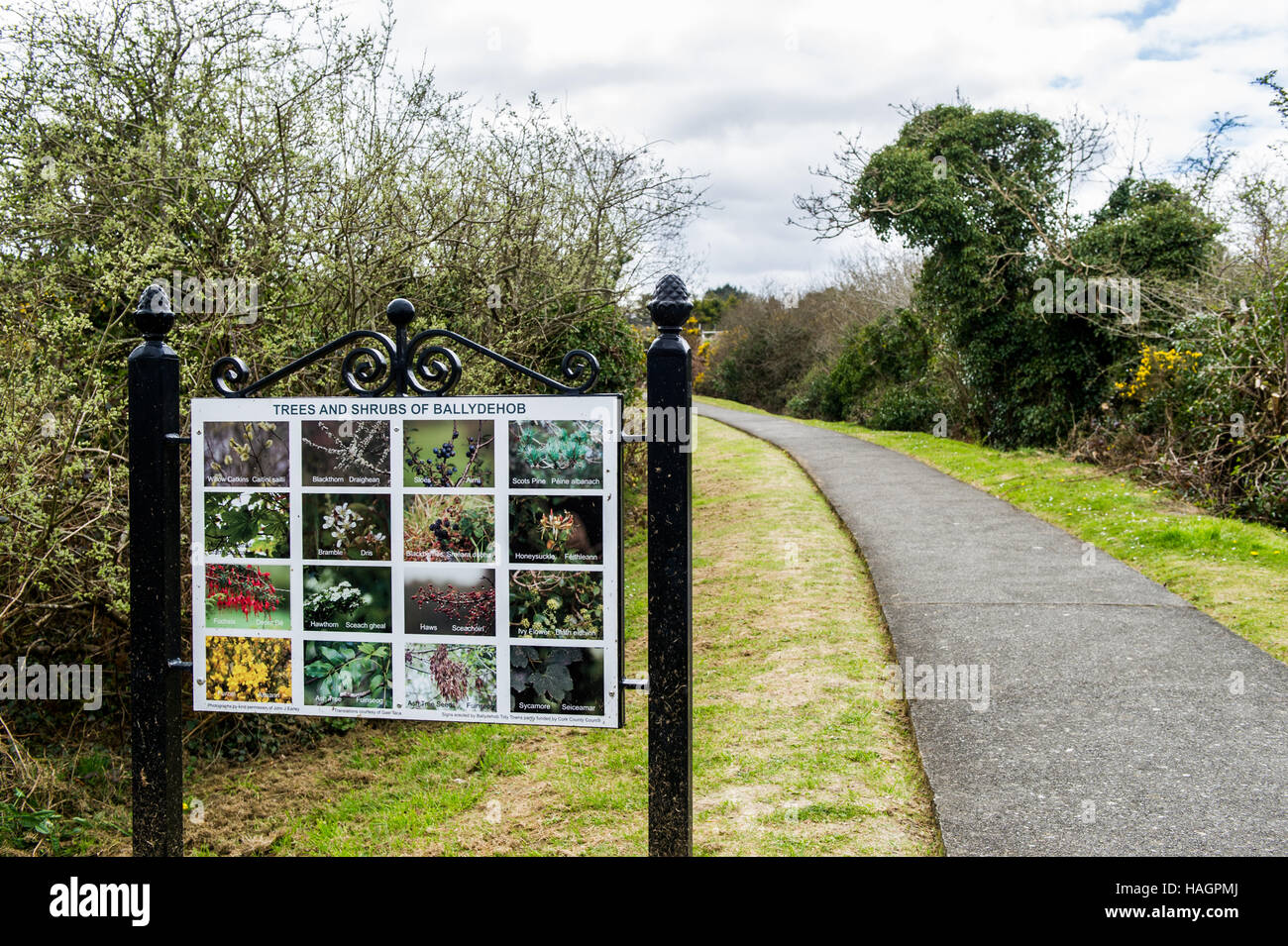 Un segnale di informazione su una passeggiata nella natura che mostra vari alberi e arbusti situato in Ballydehob, West Cork, Irlanda. Foto Stock