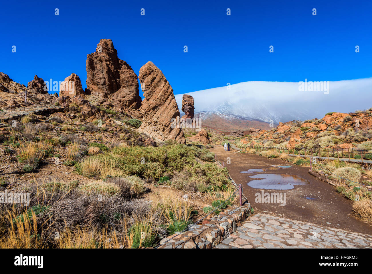 Formazione di roccia nel Parco Nazionale del Teide Tenerife Foto Stock