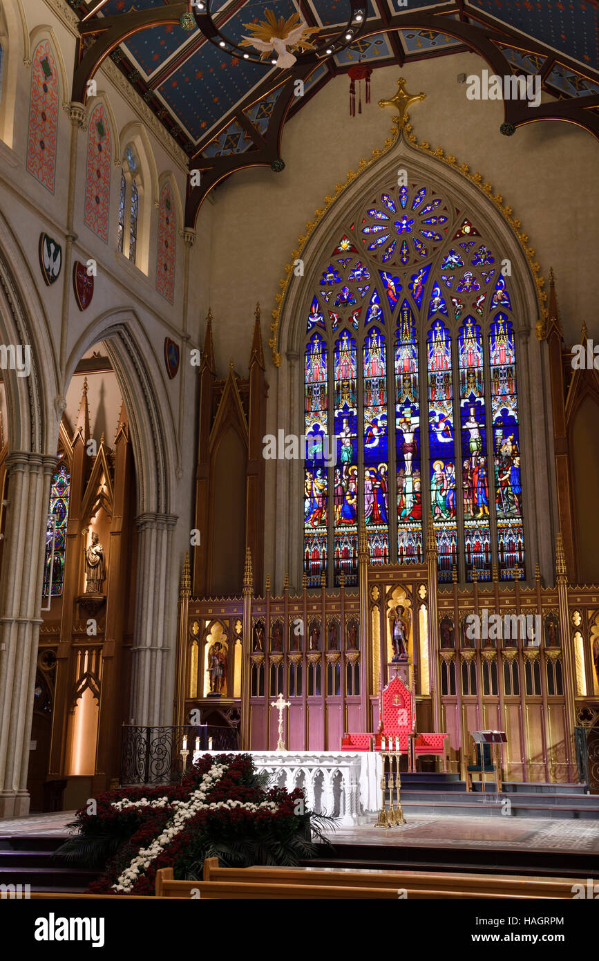 Rinnovato altare bianco e le vetrate colorate di San Michele Basilica Cattedrale di Toronto Foto Stock