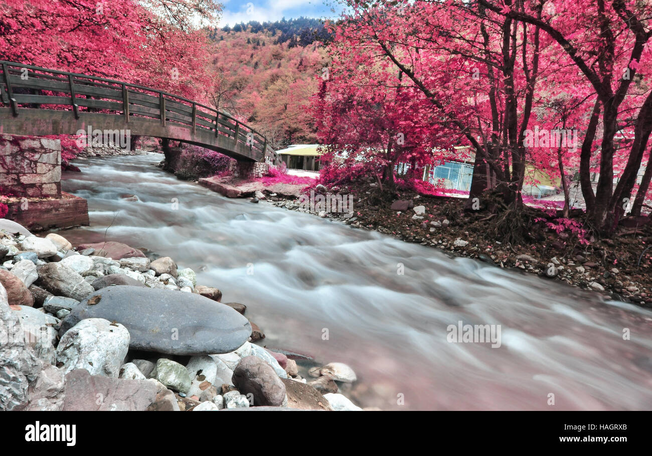 River a Karditsa foresta Grecia Tessaglia Foto Stock