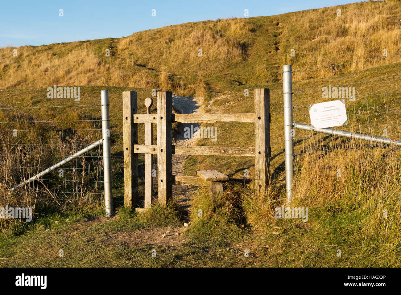 Uno stile che portano all'entrata occidentale a Cissbury Ring, la seconda Età del Ferro hill fort in Inghilterra Foto Stock