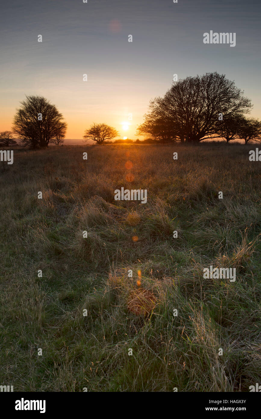 Un tardo autunno il tramonto visto da disegni altopiano di anello Cissbury, la seconda Età del Ferro hill fort in Inghilterra Foto Stock
