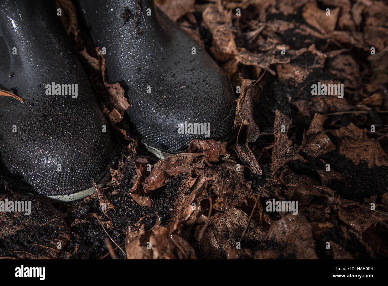 Wet Stivali in gomma con foglie di autunno Foto Stock