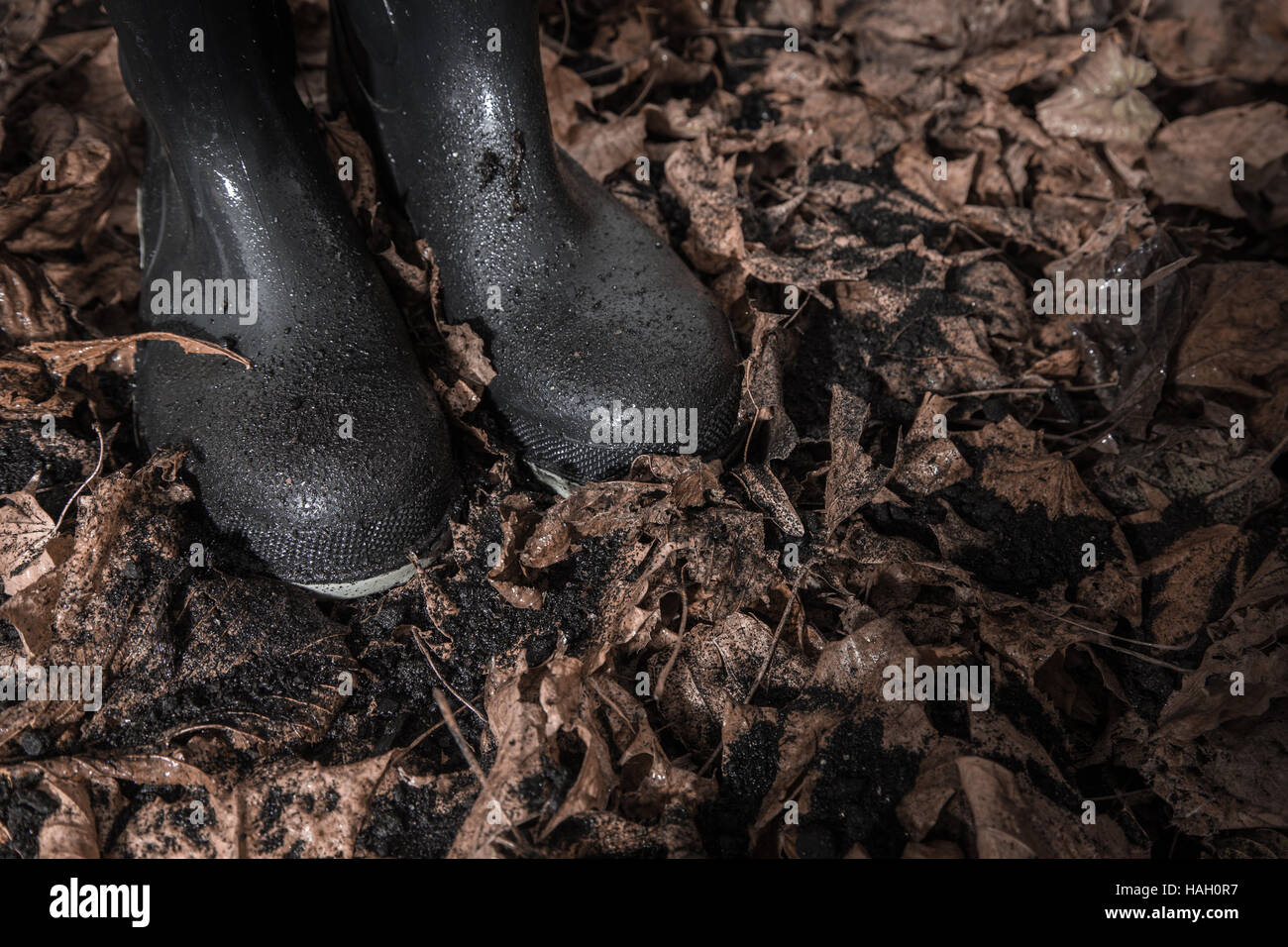 Wet Stivali in gomma con foglie di autunno Foto Stock
