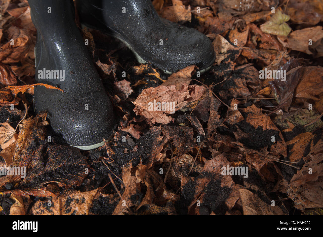 Wet Stivali in gomma con foglie di autunno Foto Stock