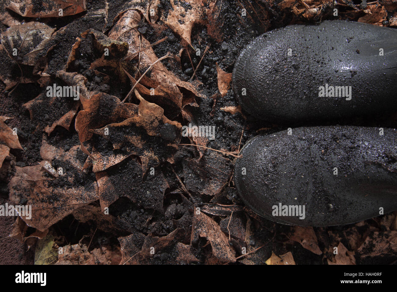 Wet Stivali in gomma con foglie di autunno Foto Stock