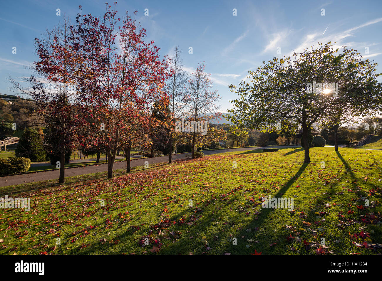 Winter Park (Parque de invierno), Oviedo Foto Stock