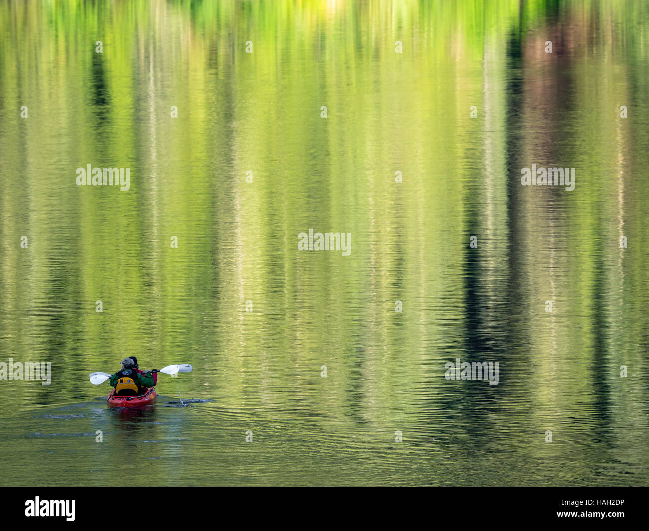 Due persone fare kayak in Tongass foresta di pioggia in Alaska. Questo potrebbe essere un enorme immagine per una presentazione in Power Point. Foto Stock