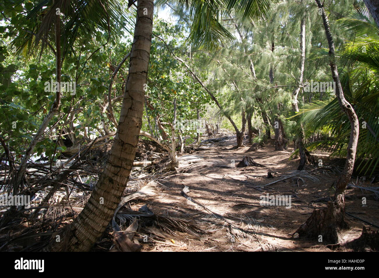 Seychelles, Curieuse Island, Oceano Indiano Foto Stock