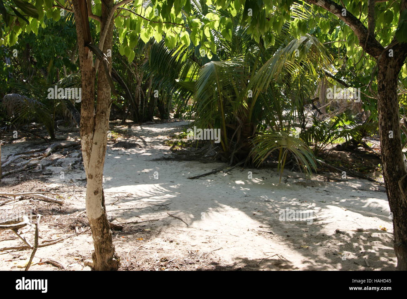 Seychelles, Curieuse Island, Oceano Indiano Foto Stock