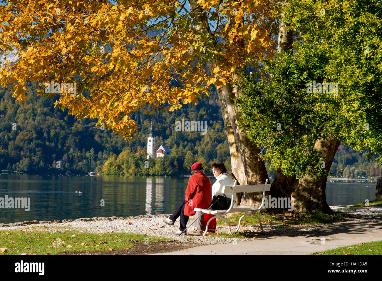 Due amici su una panchina nel parco con San Marys chiesa dell Assunzione al di là, Bled, Alta Carniola, Slovenia Foto Stock