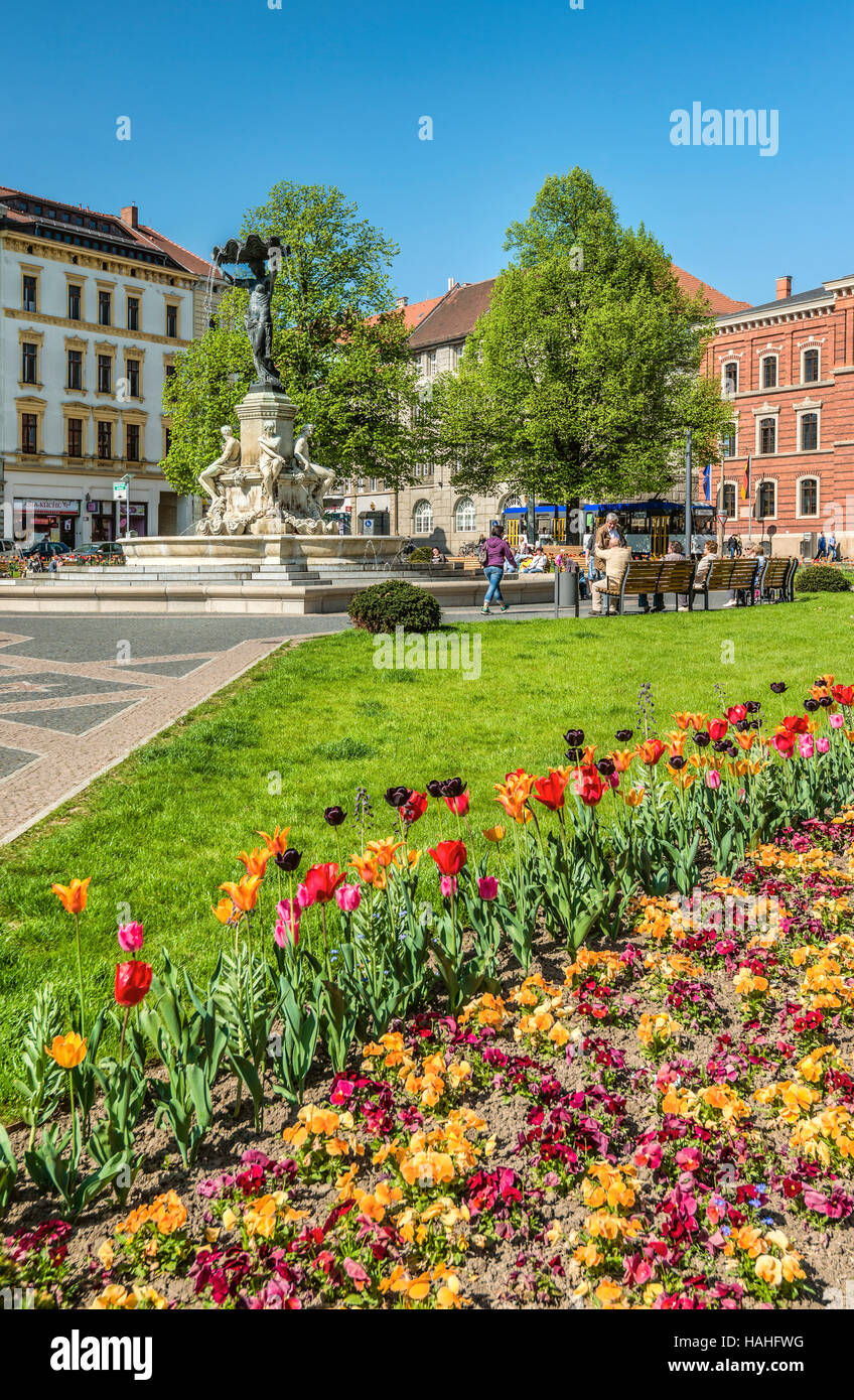 Springflowers nella Postplatz nel centro di Goerlitz, Sassonia, Germania Foto Stock